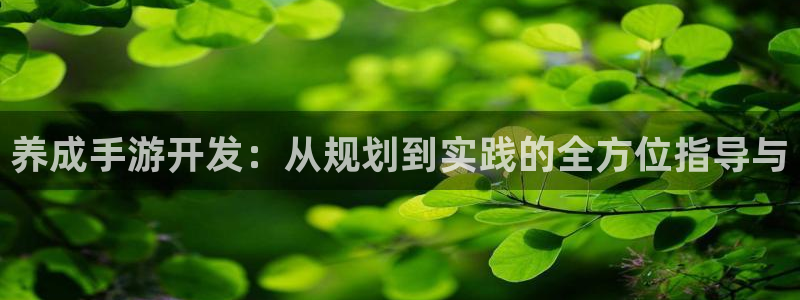 极悦娱乐杀组合：养成手游开发：从规划到实践的全方位指导与