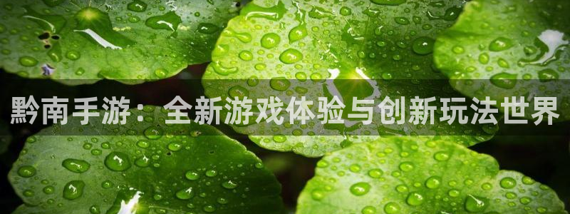极悦娱乐加拿大开奖历史预测：黔南手游：全新游戏体验与创新玩法