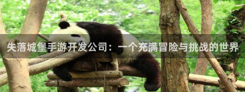 极悦娱乐预测组合：失落城堡手游开发公司：一个充满冒险与挑战的