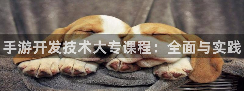 极悦娱乐加拿大在线上分：手游开发技术大专课程：全面与实践