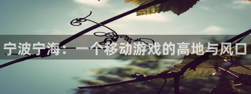 极悦娱乐怎么用不了了：宁波宁海：一个移动游戏的高地与风口