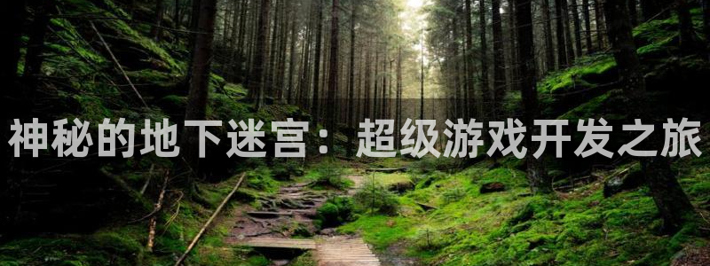 极悦娱乐在线预测：神秘的地下迷宫：超级游戏开发之旅
