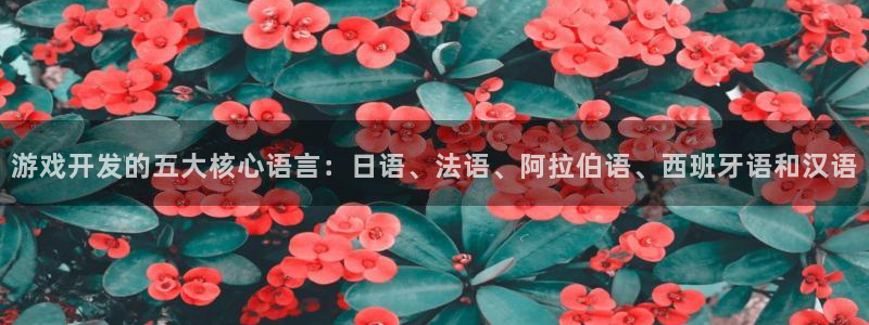 极悦娱乐怎么下载地址：游戏开发的五大核心语言：日语、法语、阿