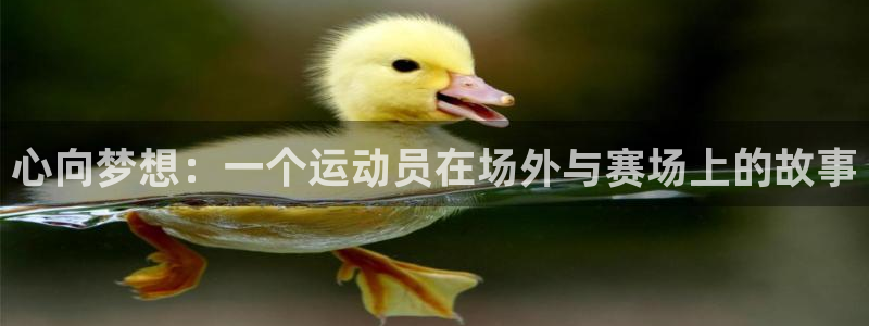 bbin视讯