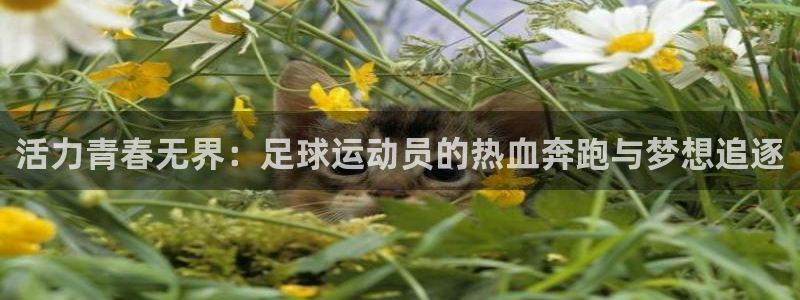 bbin视讯游戏官网