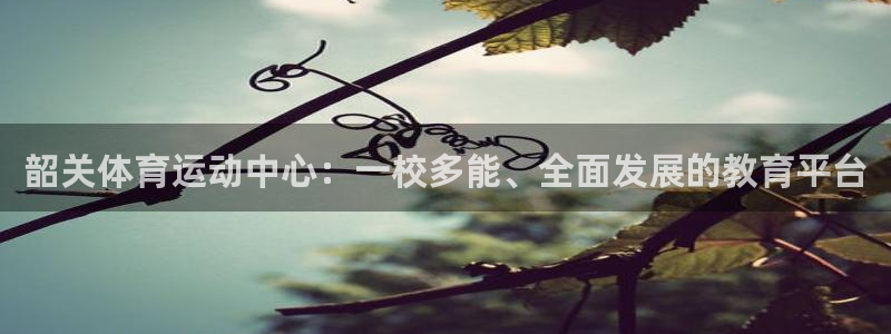 bbin视讯游戏平台