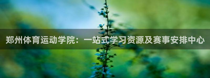 bbin视讯