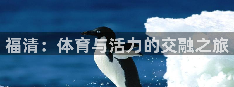 bbin视讯