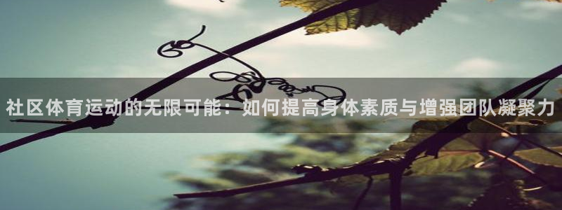 bbin视讯游戏平台