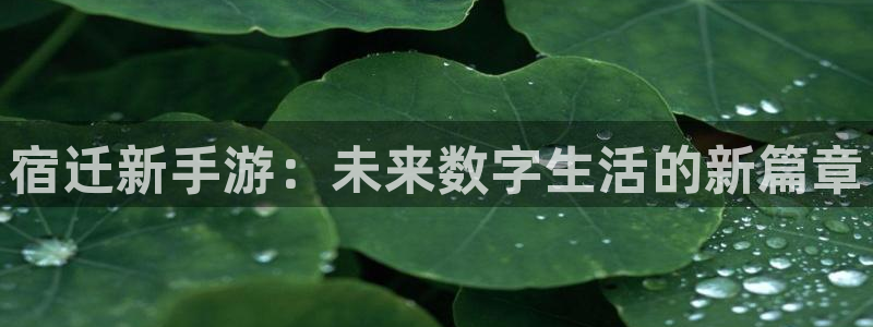 极悦娱乐预测软件北京：宿迁新手游：未来数字生活的新篇章