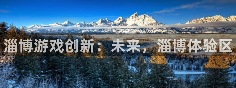 pc极悦娱乐历史：淄博游戏创新：未来，淄博体验区